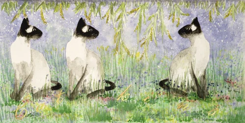Chatons